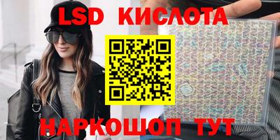 дживик Кингисепп