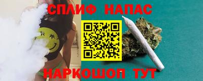 дживик Кингисепп