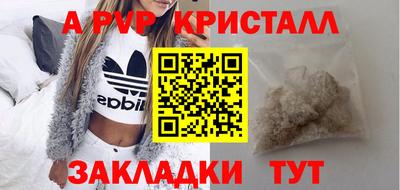 дживик Кингисепп