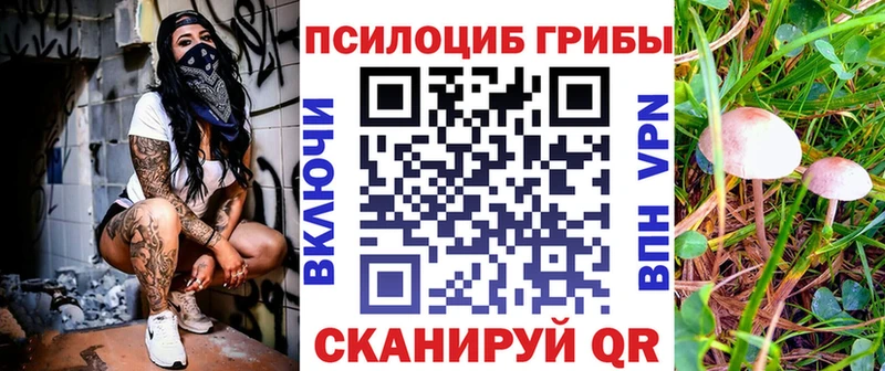 где купить наркоту  дарк нет официальный сайт  Галлюциногенные грибы Psilocybe  Раменское 